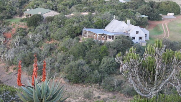 Front of property - African Safari Lodge (Makhanda)