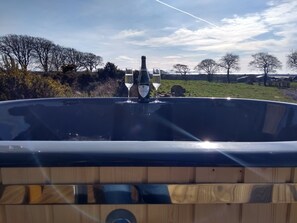 Cabin | Property grounds - Ailsa Lodge Sleeps 3- Hot Tub, Scenic Views (Dalry)