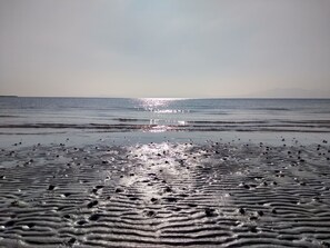 Kabin | Pantai | Pantai di sekitar