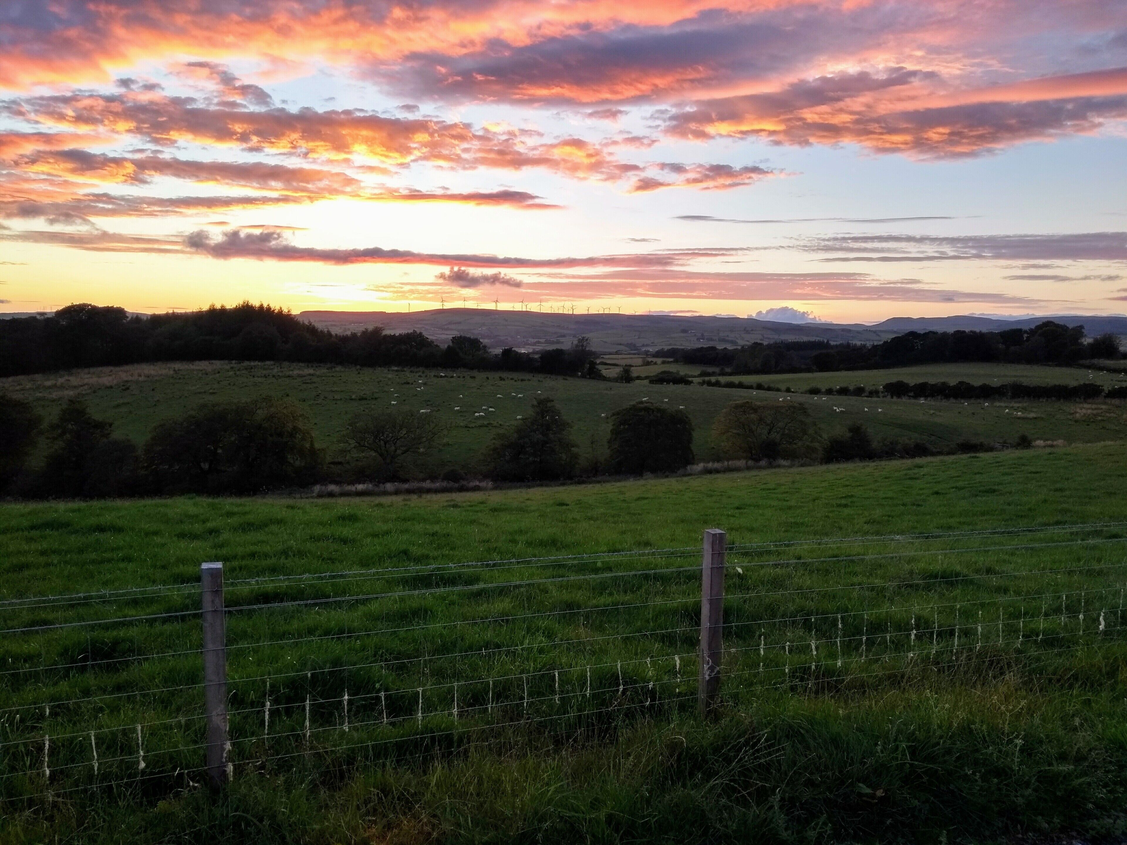 A rural landscape with a fence, green fields, and a sunset.