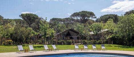 Outdoor pool, pool umbrellas, sun loungers