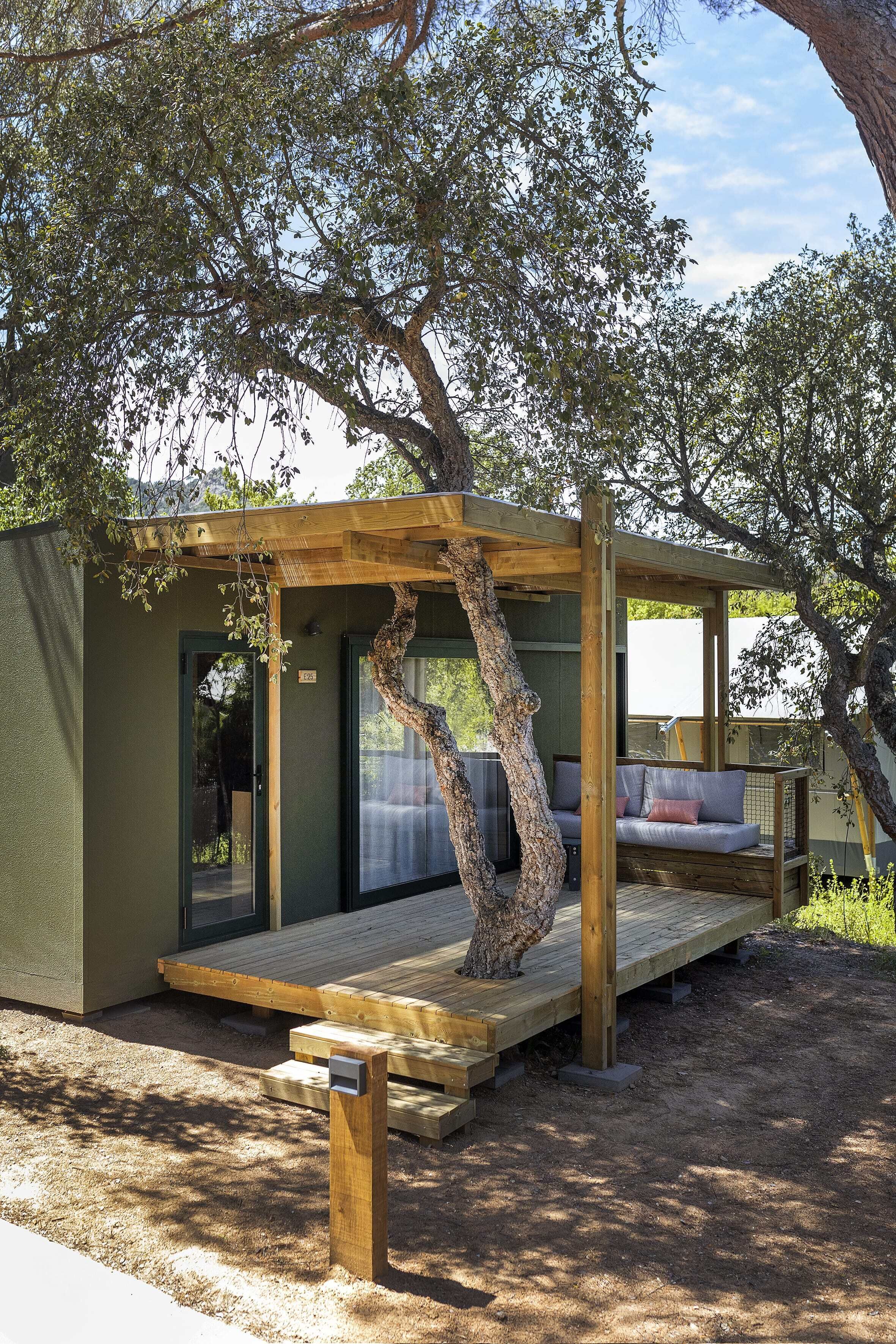 A wooden deck with a bench, a covered seating area, and a tree trunk integrated into the structure.