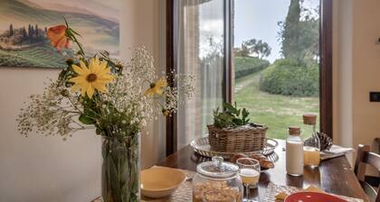 SATURNIA - Farmhouse - Farmhouse Rigone in Chianti