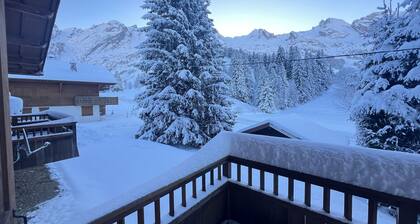 Le Paturage, charmant demi-chalet face aux montagnes