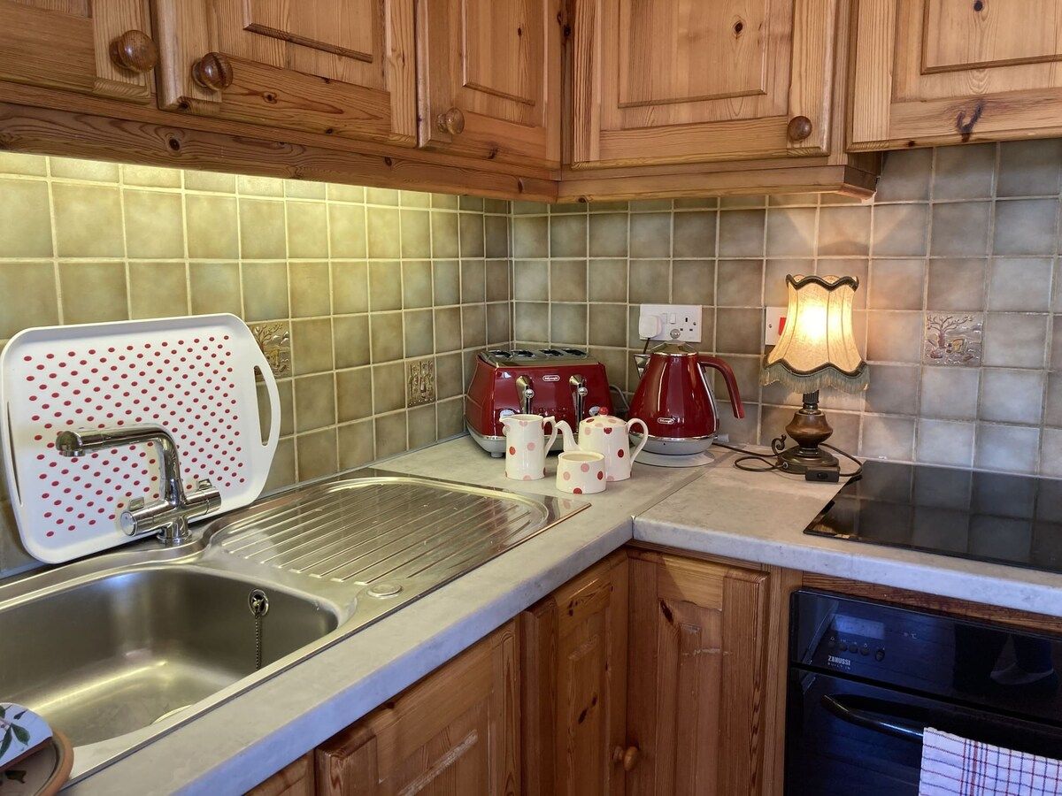 Una cocina con armarios de madera, un lavamanos de acero inoxidable, una estufa y una tetera.