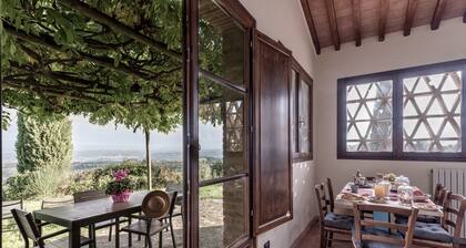 ANSEDONIA- Barn- Farmhouse Rigone in Chianti