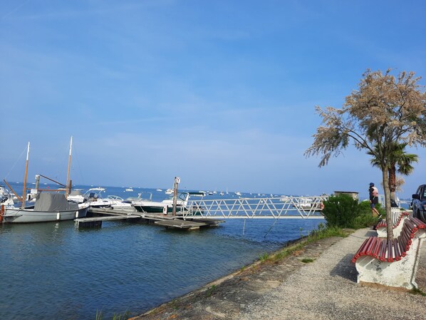 A marina with boats docked, a pedestrian walkway, and a palm tree. - Studio port arcachon (Arcachon)
