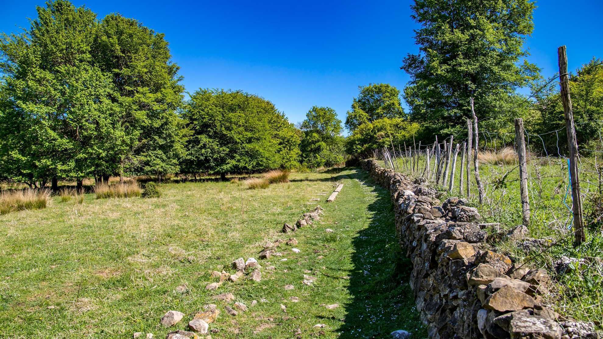 Een stenen muur, een hek, een grasveld en bomen.