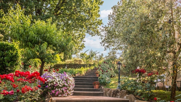 Un jardin avec un escalier en pierre menant à un niveau supérieur.