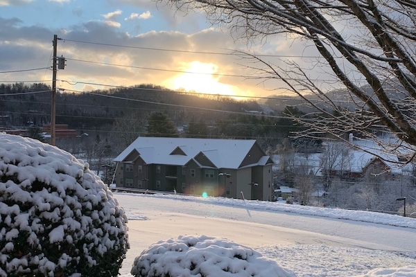 Área da propriedade