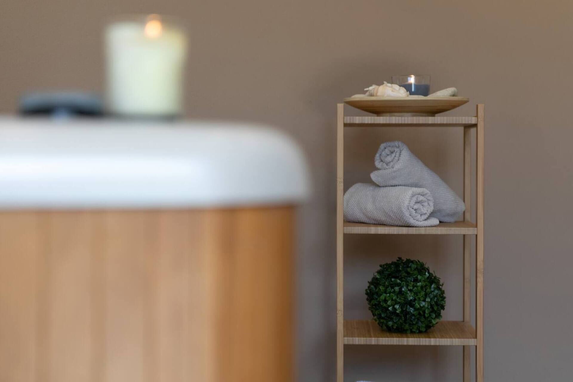 A wooden shelf with towels and a small plant.