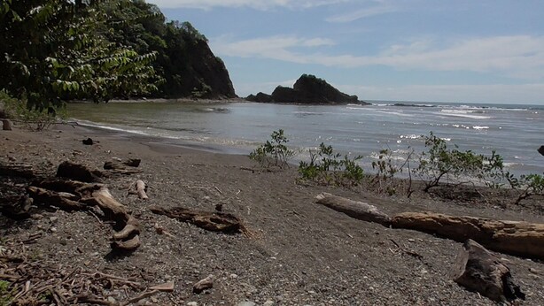 A beach with rocky terrain and sparse vegetation.