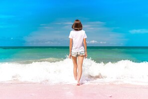 Quang cảnh nhìn từ nơi lưu trú