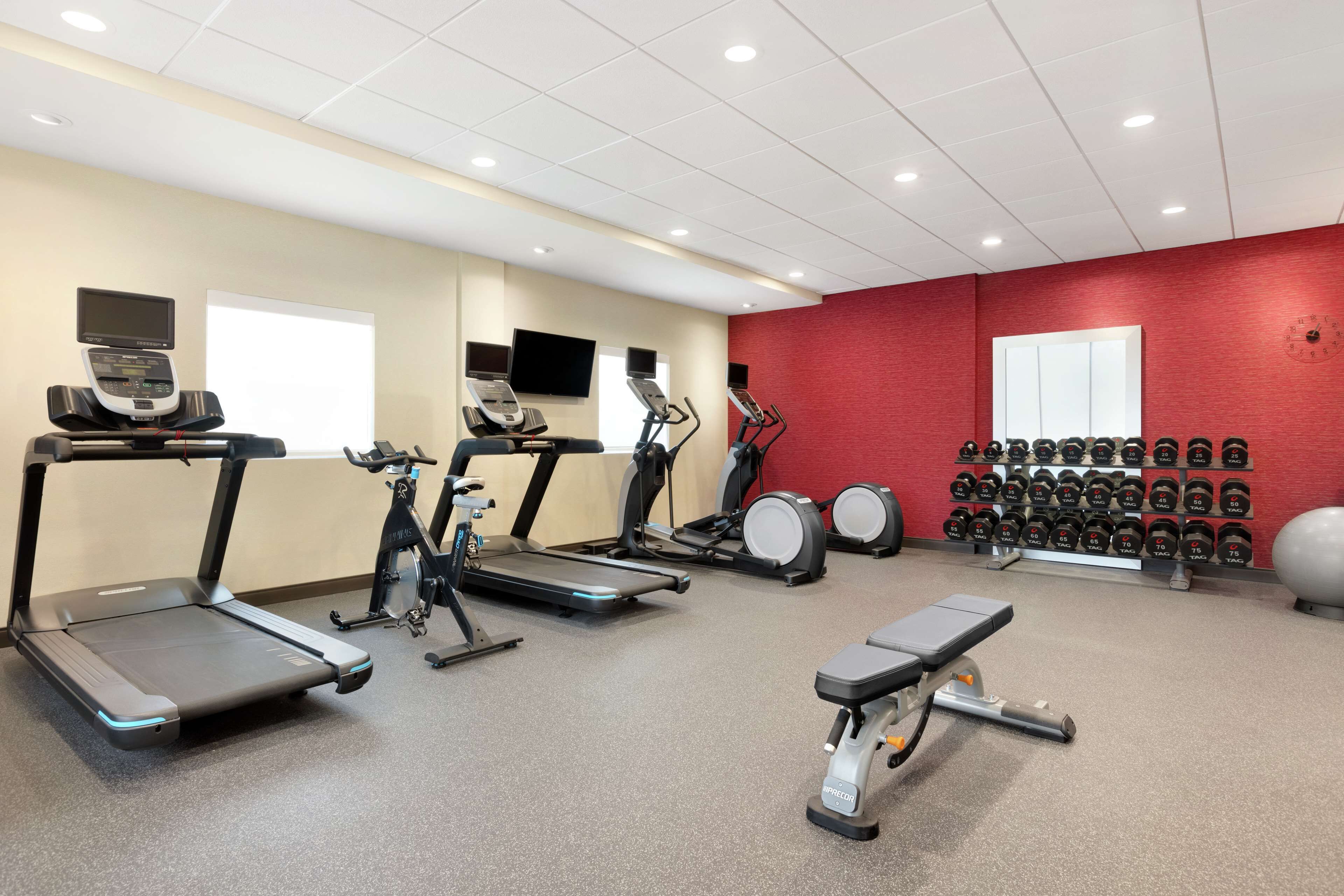 Un gimnasio con cintas de correr, elípticas, un banco y una estantería de mancuernas.