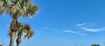 Blue Marlin - Ocean Front Condo