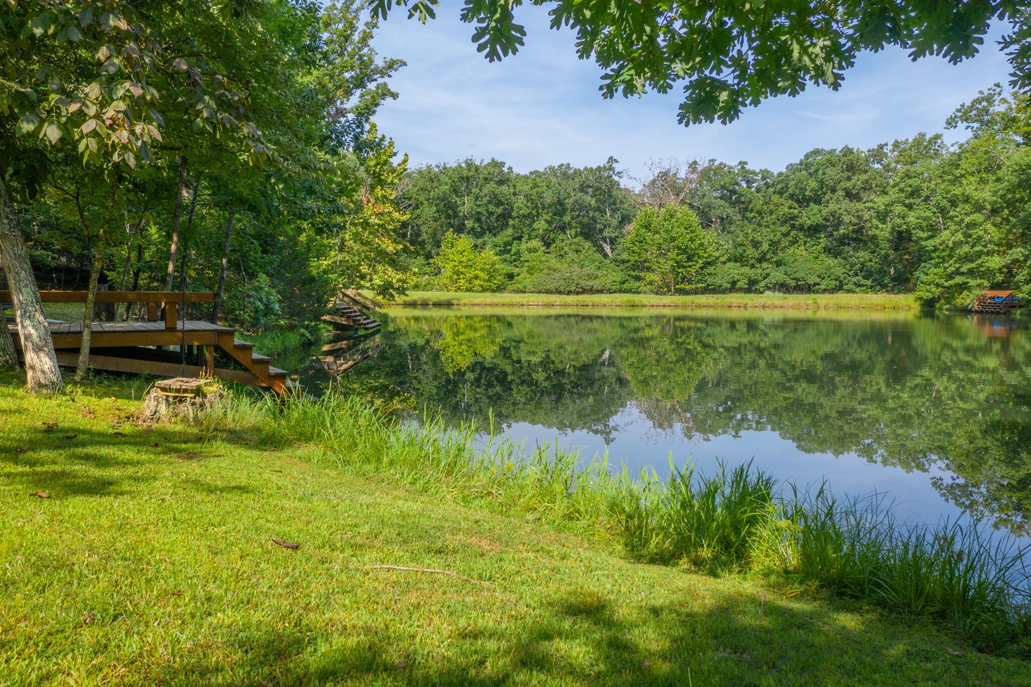 A tranquil lakeside setting with a wooden bench and picnic table under a tree, surrounded by lush greenery and a calm water body.