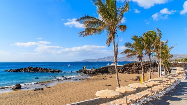 Una playa con sillas de descanso y sombrillas, costa rocosa y palmeras.