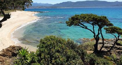 2 PiÚces, climatisé,  à 150 m de la plage, tout confort pour 4 personnes