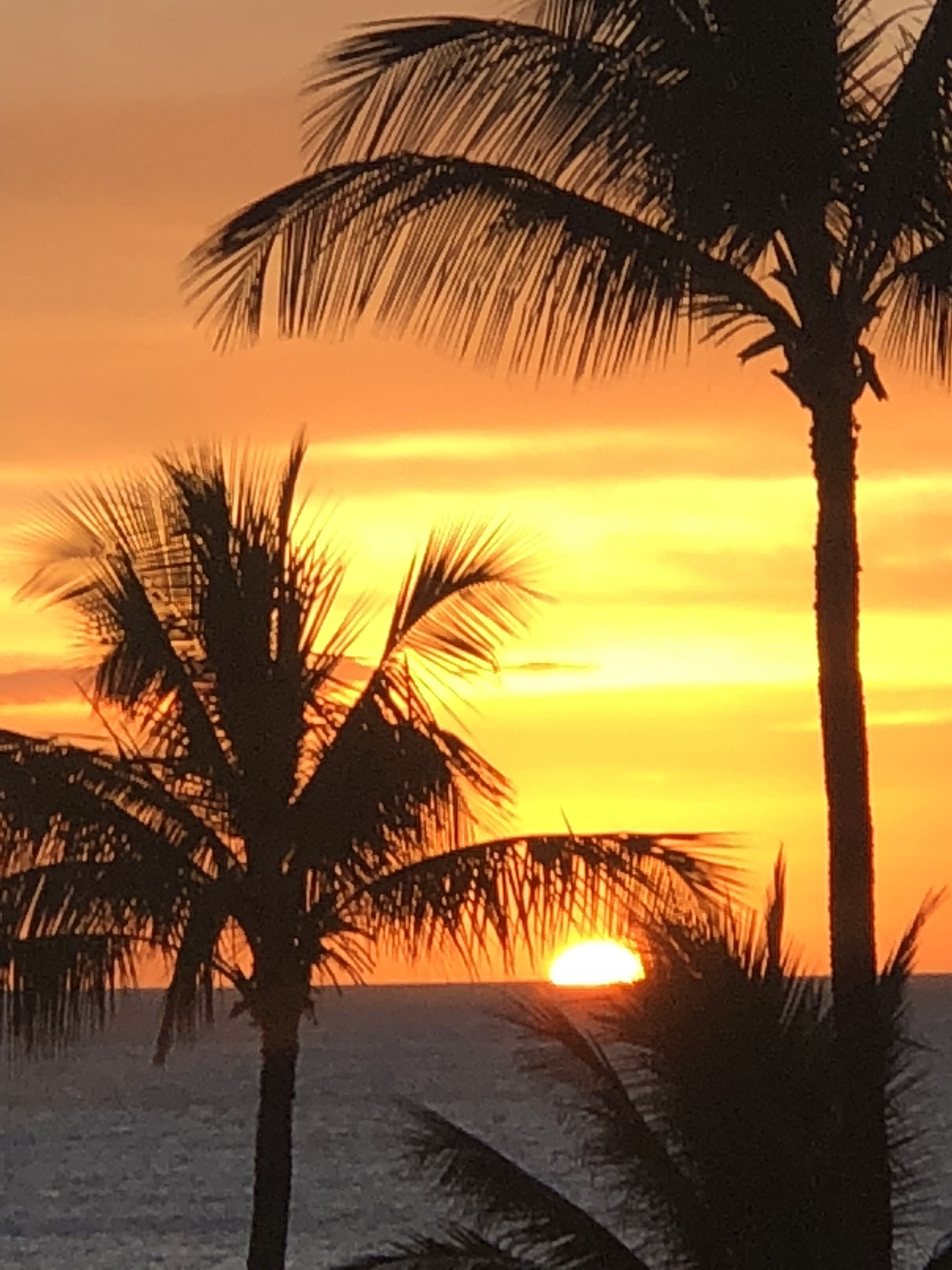 Accommodatie ligt op het strand, ligstoelen, strandlakens