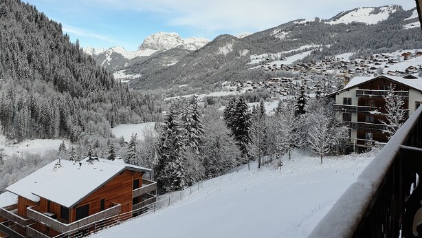 A wooden chalet with a balcony, surrounded by snow-covered trees and mountains in the background. - Bright and spacious apartment close to city center (Châtel)