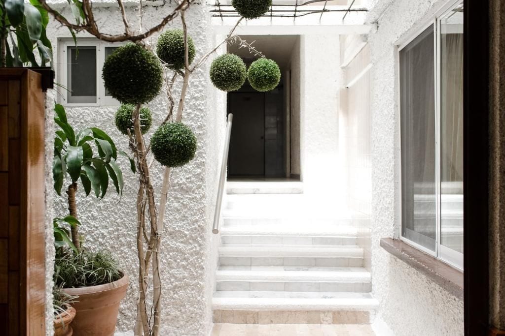 A white building with a staircase leading to a door, surrounded by potted plants and spherical topiary.