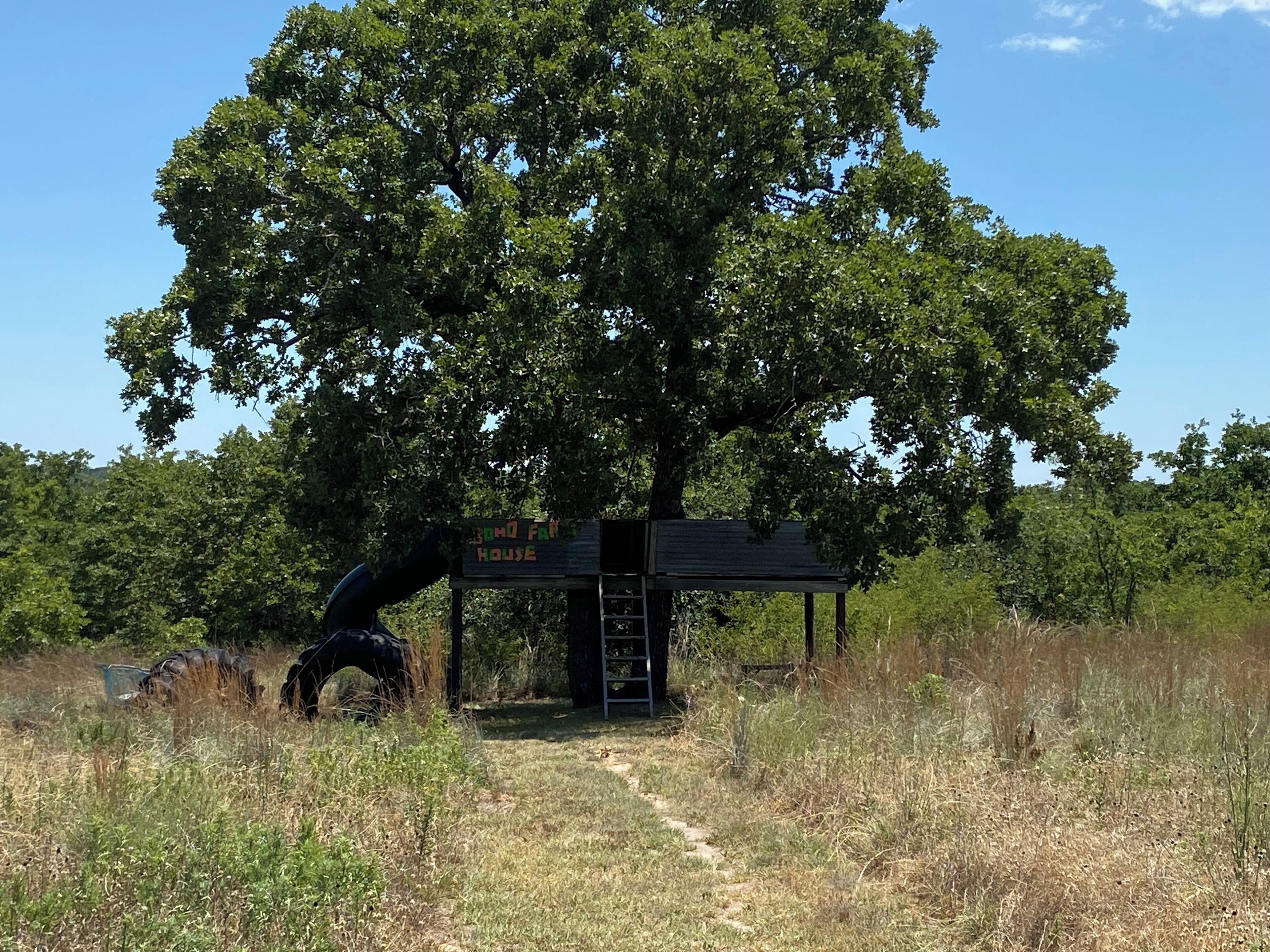 Eine Holzhütte mit einer Leiter, die zu einer Plattform führt, umgeben von hohem Gras und Bäumen.