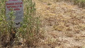 Señal de advertencia sobre la presencia de serpientes en la zona.