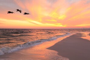 Nära stranden