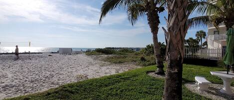 A beach with palm trees, a grassy area, and a building in the background.