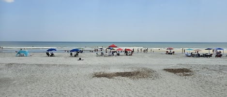在海灘附近、躺椅