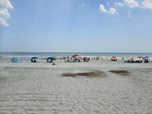 Beach nearby, sun loungers