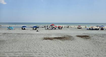 300 steps to the beach! - Pet Friendly Ranch Style House North Forest Beach