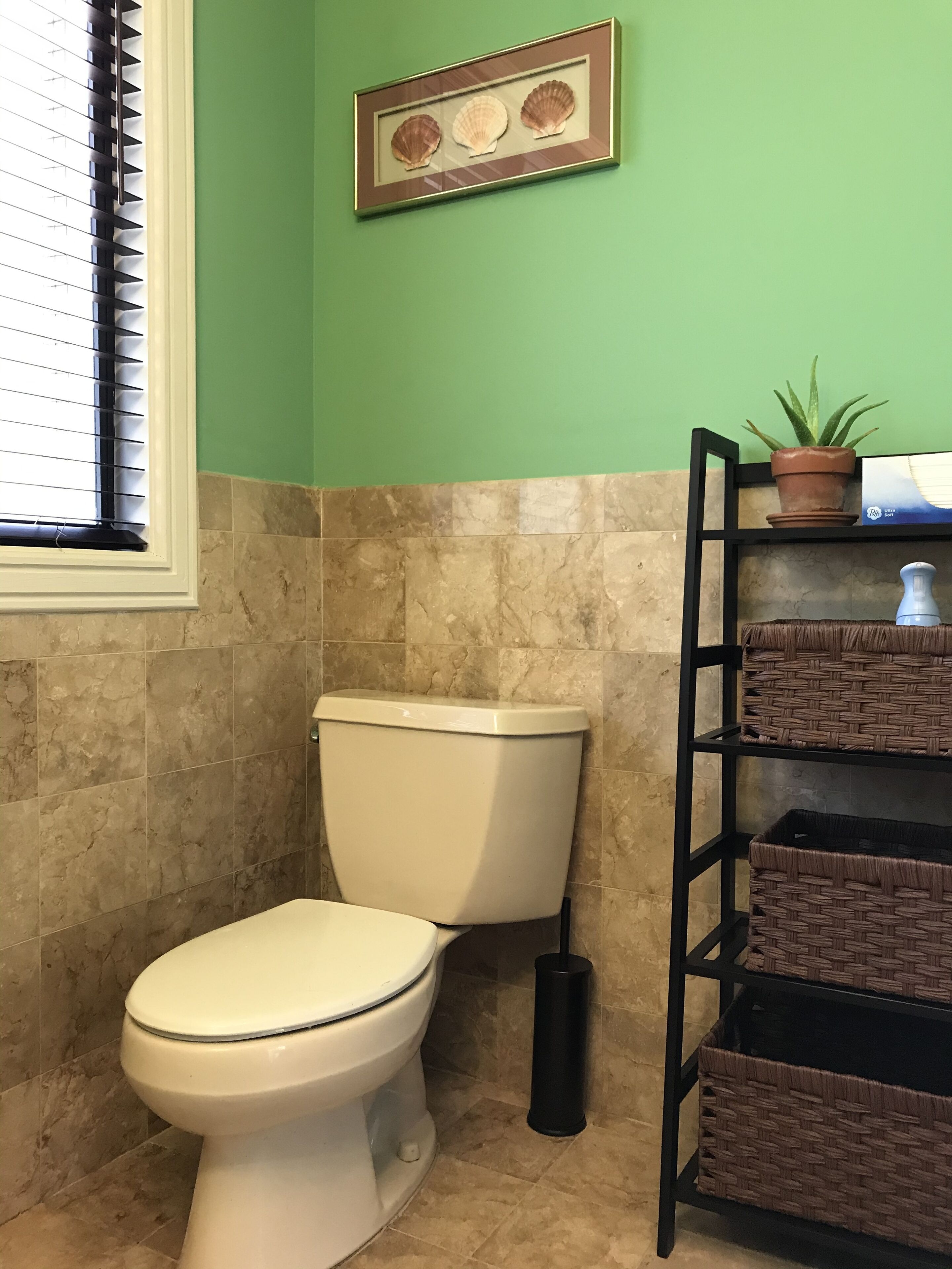 Un baño con inodoro, un adorno con una concha marina enmarco, una planta en maceta y cestas de mimbre en un estante.