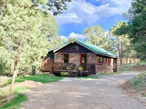Exterior - Private Cabin and Hot Tub in the Woods (Carbondale)