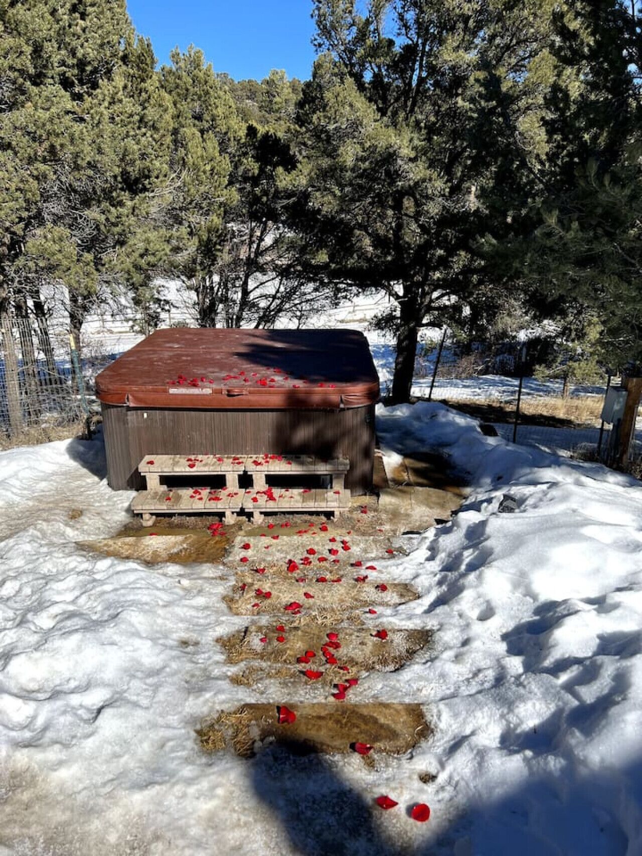 Ein hölzernes Gartenhaus mit rotem Dach, umgeben von Schnee und Bäumen.