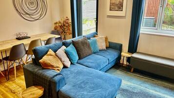 Smart TV, fireplace, books