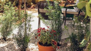 Un patio con plantas en macetas, una silla de mimbre y un techo de baldosas al fondo.
