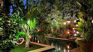 Zona de piscina exterior bien iluminada, con diversas plantas tropicales y un pequeño elemento acuático.