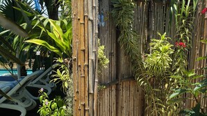 Una cerca de bambú con diversas plantas y un sendero.