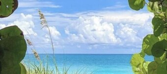 Your Private Tropical Oasis 