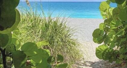 Your Private Tropical Oasis