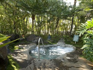Relax in a serene hot spring surrounded by lush tropical gardens and greenery.