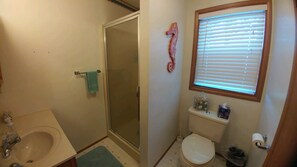 Shower, towels, toilet paper
