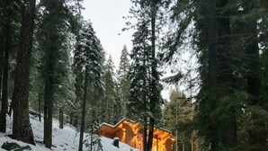 Una carretera cubierta de nieve que lleva a una cabaña rodeada de altos árboles.