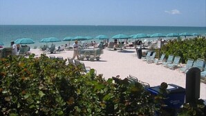 Une plage bordée de rangées de chaises longues et de parasols, un ciel dégagé et l’océan en toile de fond.