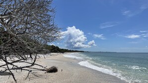 A beach with clear skies, calm waters, and sparse vegetation. - Private & Spacious [2300sqft] home w/Pool,Hot Tub,Golf Cart, Pet Friendly & Club (Captiva)