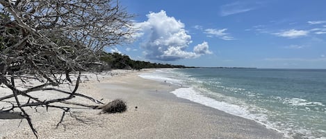 Plage à proximité, chaises longues, serviettes de plage