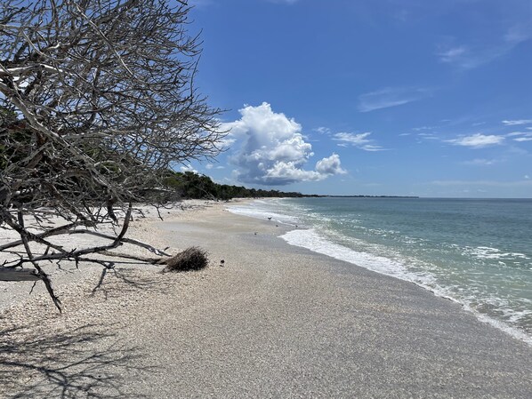 Tæt på stranden, liggestole, badehåndklæder