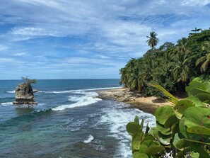 A coastal landscape with a rocky outcrop, palm trees, and a beach.