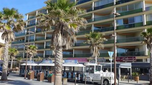 Un hôtel à plusieurs étages doté de balcons, de palmiers et d’espaces de détente en plein air.